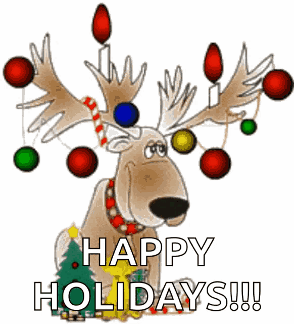 Merry Christmas and Happy Holidays from the East County Food Pantry!